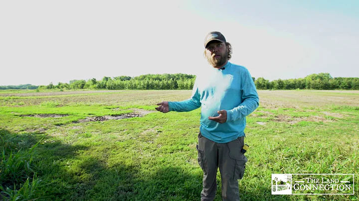 Principles of Mechanical Weed Control #4