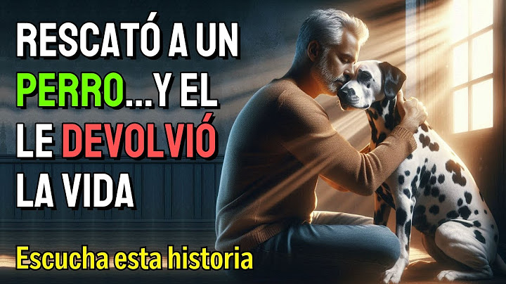 El Hombre que Rescató a un Perro… y Encontró un Ángel Guardián