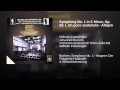 Miniature de la vidéo de la chanson Symphony No. 1 In C Minor, Op. 68: I. Un Poco Sostenuto - Allegro