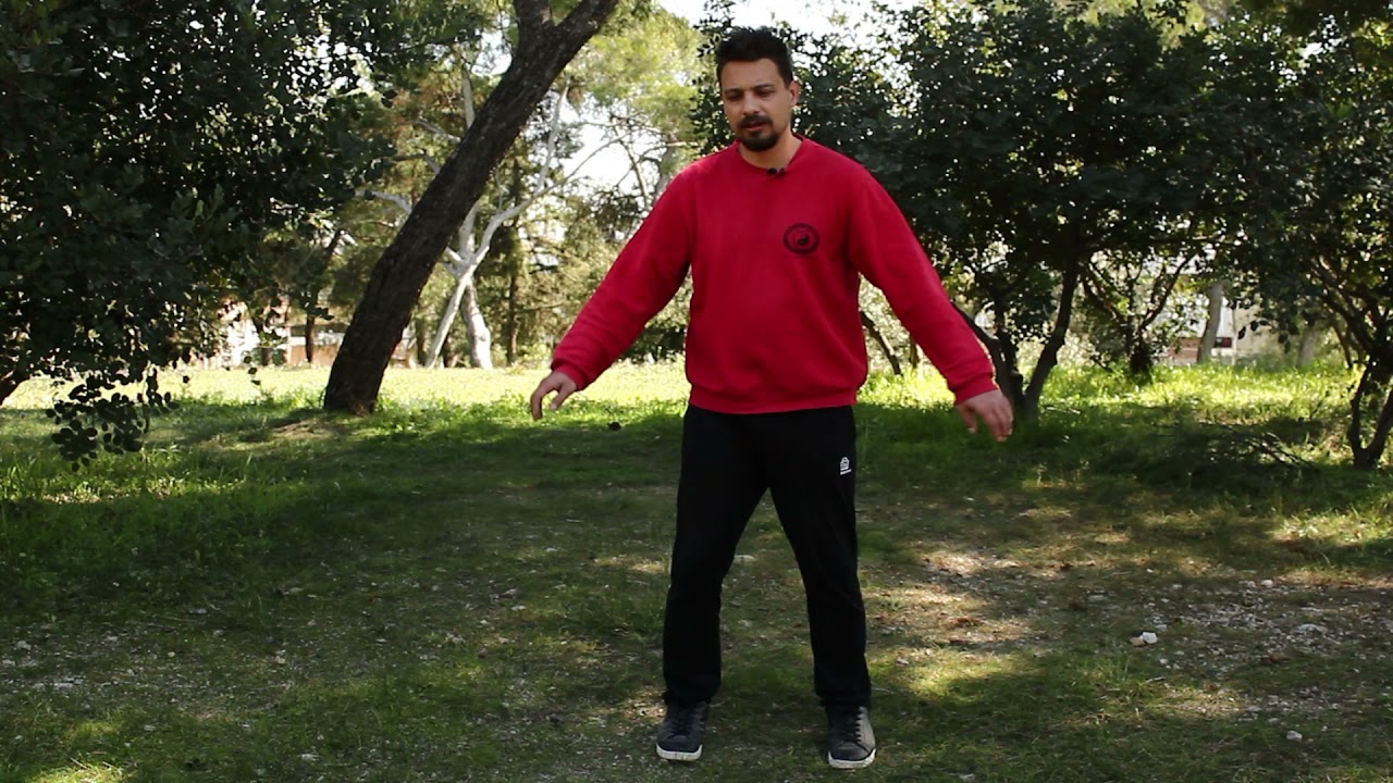 ΓΝΩΡΙΖΟΝΤΑΣ ΤΟ TAI CHI Μέρος 1ο ΖΕΣΤΑΜΑ