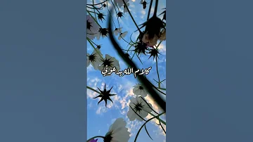 سأسأل ما الذي قدمت في دنياي ينجيني انشاد جميل إذا ما قال لي ربي 