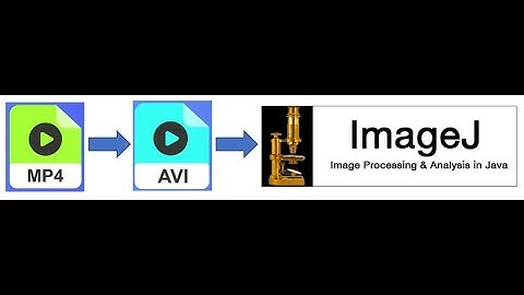 How to Convert Mp4 File to AVI With VLC Media Player for ImageJ Input