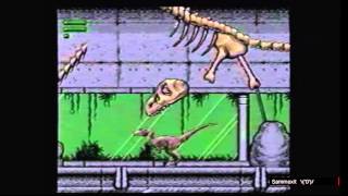 [10YA] Jurassic Park with Raptor on Megadrive (Genesis)