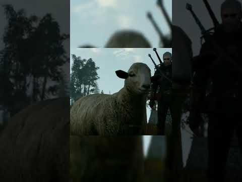 Как зовут овцу? #ведьмак #thewitcher #shorts