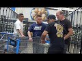 Shoving peoples carts prank 4