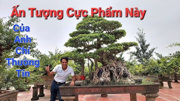 ẤN TƯỢNG với 5 TP SANH QUÊ ĐÌNH ĐÁM thời 2010 còn sót lại của anh CHÍ - Thường Tín - Hà Nội .