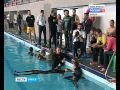 В бассейне ДОСААФ прошёл открытый чемпионат Брянской области по подводному плаванию