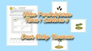 Download Lagu VIDEO PEMBELAJARAN KELAS INKLUSI BESAR - DAUR HIDUP TANAMAN MP3