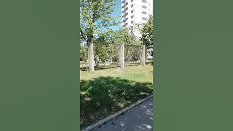Очень странный мужик. #shorts