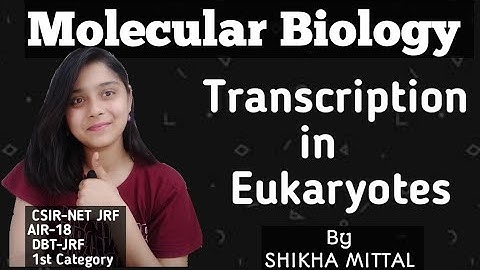 Eukaryotic Transcription - MOLECULAR BIOLOGY CSIR-NET JRF LIFESCIENCE