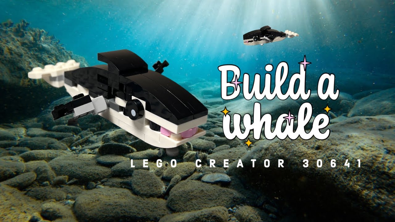 Lego Creator 30641| Build a Whale | Leo Binu
