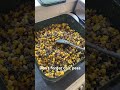 Carpy party mix #carpy #carpfishing #carpfishinguk #fishing #fishingvideo