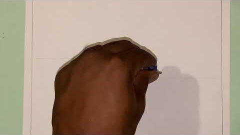 Involute of a Square