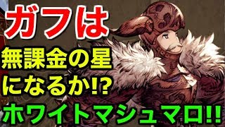 【FFBE幻影戦争】無課金の星!?ガフガリオンはレイドでいけるのか？【WAR OF THE VISIONS 実況】