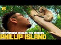 Australie ep6  phillip island 