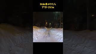 【雪国のリアル】記録的な大雪から2日後の道路