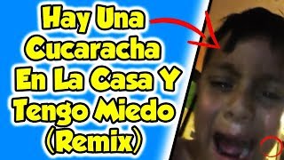 Hay Una Cucaracha En La Casa Y Tengo Miedo (Remix)