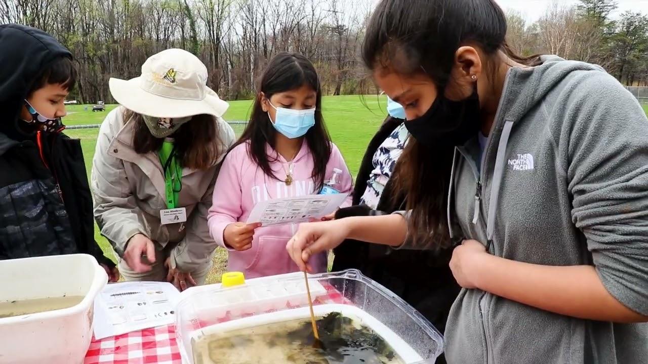 Meaningful Watershed Experience at Marumsco Hills Elementary School