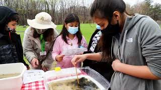 Meaningful Watershed Experience at Marumsco Hills Elementary School