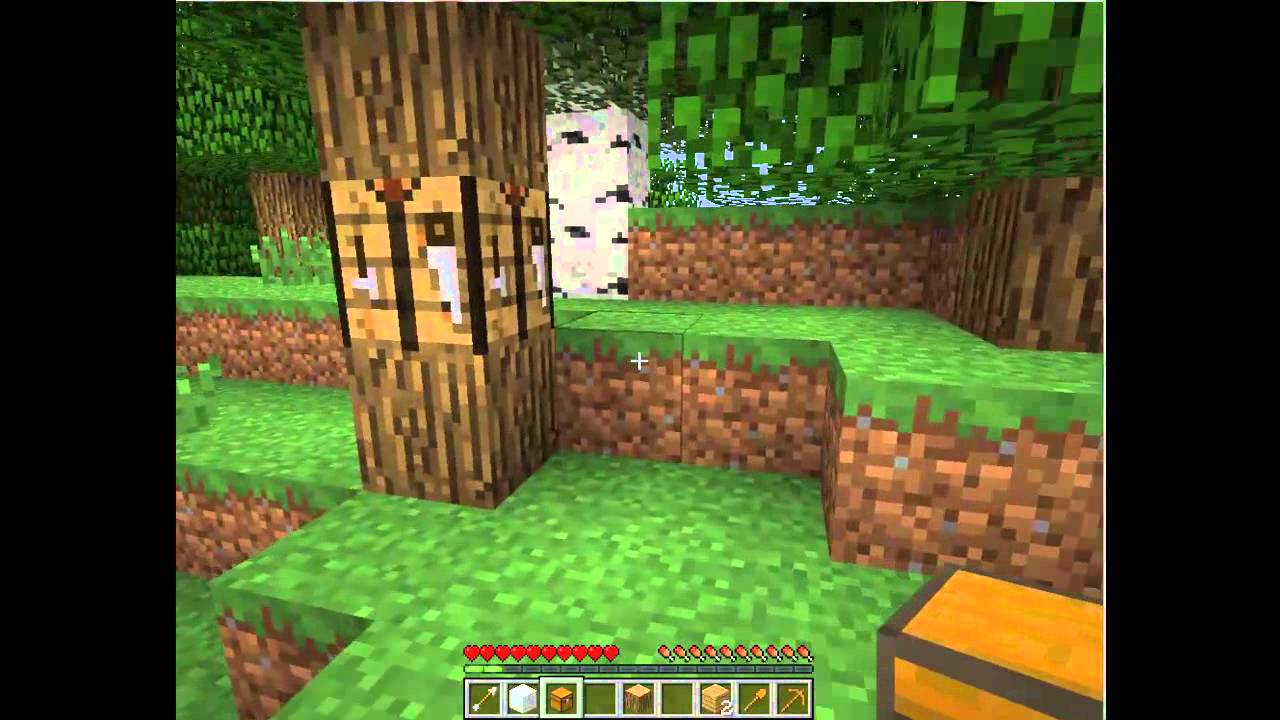 Minecraft-Mini serie Mini Mrpagoru