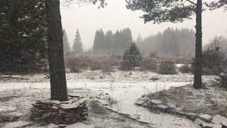 21 Märts 2020 Naage