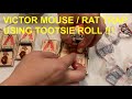 Setting up VICTOR mouse / rat trap using TOOTSIE ROLLS as bait