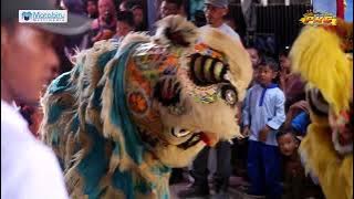 Barongsai - nirwana - burok pkc live kalimukti pabedilan cirebon 09 april 2025@PKCOFFICIAL