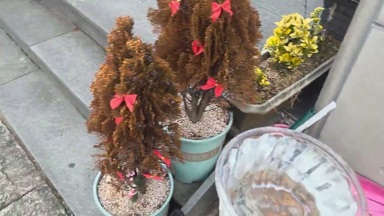 가게앞에서 항상 나를 기다리는 존재