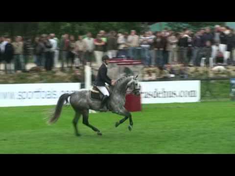 Norton d'Eole- jumping stallion (SF) by Cento