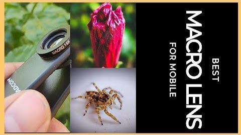 Best Mobile Macro Lens - Adcom 15x Macro lens