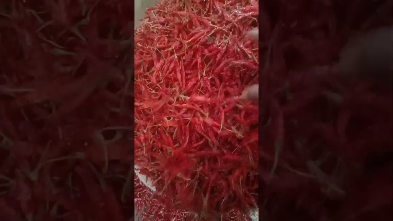 Guntur Mirchi  Rates 