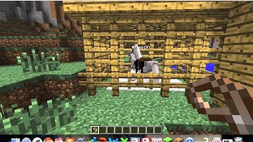 Uptate Spotlight: Minecraft 1.6.1 how to use nametags