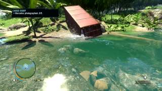 Far Cry 3 walkthrough - Cargo Dump