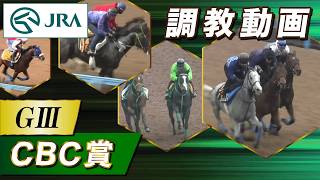 調教動画2026年 Cbc賞Jra公式