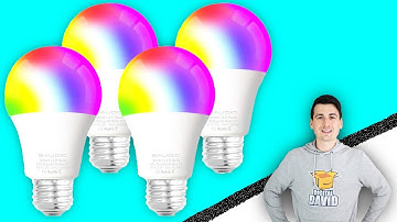 Smart LED RGB WiFi Dimmable Bulb Works w/ Siri Alexa Google Assistant