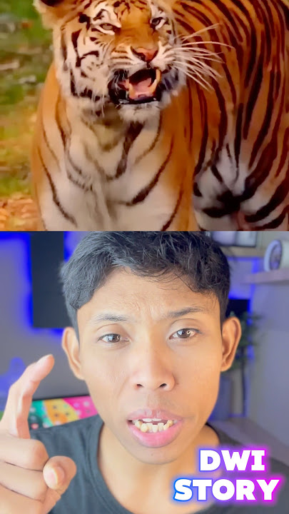 Angry tiger comes out of the cage #trending #viral #storytelling