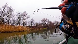 ЧУДО КАМЫШ ВЫРУЧАЕТ ДАЖЕ ОСЕНЬЮ!! РЫБАЛКА НА СПИННИНГ ПОЗДНЕЙ ОСЕНЬЮ! ПОДВОДИМ ИТОГИ СЕЗОНА. Рыбалка Видео: ЧУДО КАМЫШ ВЫРУЧАЕТ ДАЖЕ ОСЕНЬЮ!! РЫБАЛКА НА СПИННИНГ ПОЗДНЕЙ ОСЕНЬЮ! ПОДВОДИМ ИТОГИ СЕЗОНА. Рыбалка
