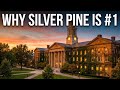 Silver Pine State University PART 2