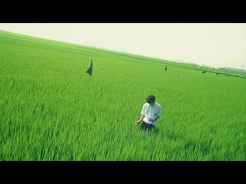 All About Lily Chou Chou Mix