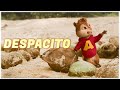Despacito - Luis Fonsi ft. Daddy Yankee | Alvin and the Chipmunks