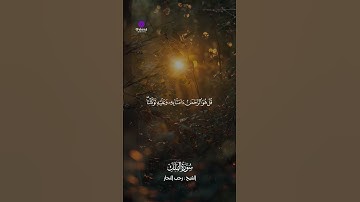 خشوع يملأ القلب | تلاوة عطرة من كلام الله تشرح الصدر وتريح النفس
