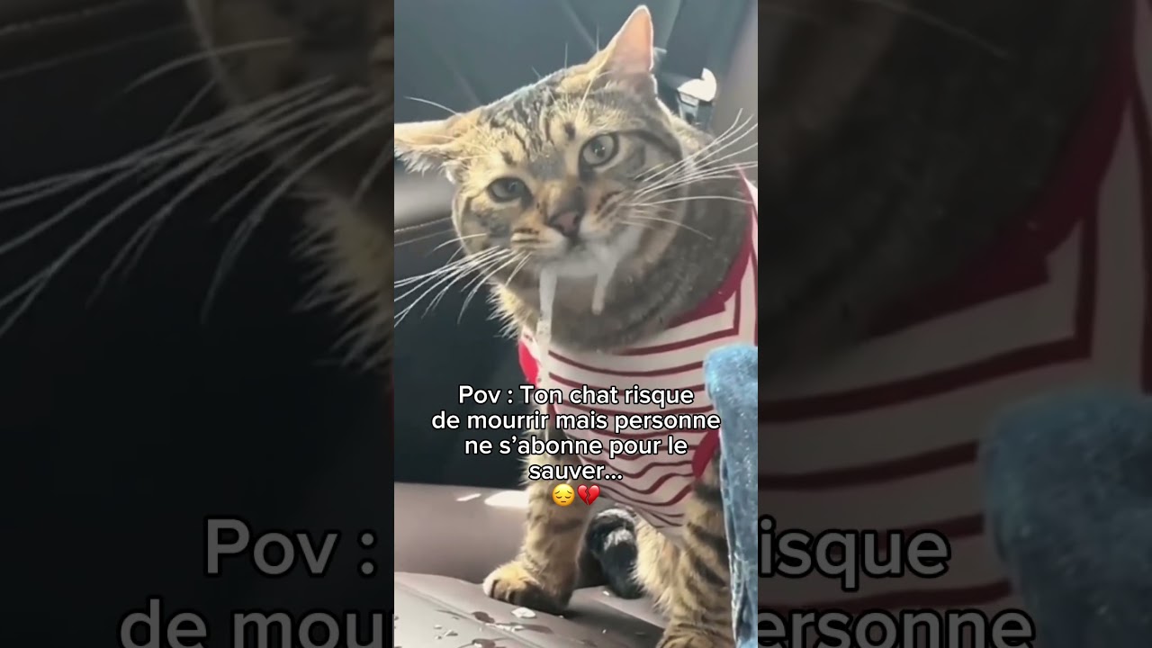 1 AbONNEMENT POUR LA SAUVER 🙏