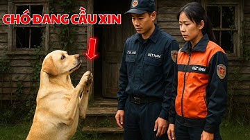 Chú Chó Chắp Tay Cầu Cứu Tại Căn Nhà Hoang, Chuyện Cảm Động Về Lòng Trung Thành & Tình Yêu Động Vật