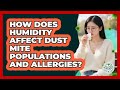 How Does Humidity Affect Dust Mite Populations And Allergies? - Allergy Relief Guide