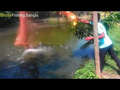 ভাসমান ফিস ফিড মাছকে খাওয়ানো | Fish Feed