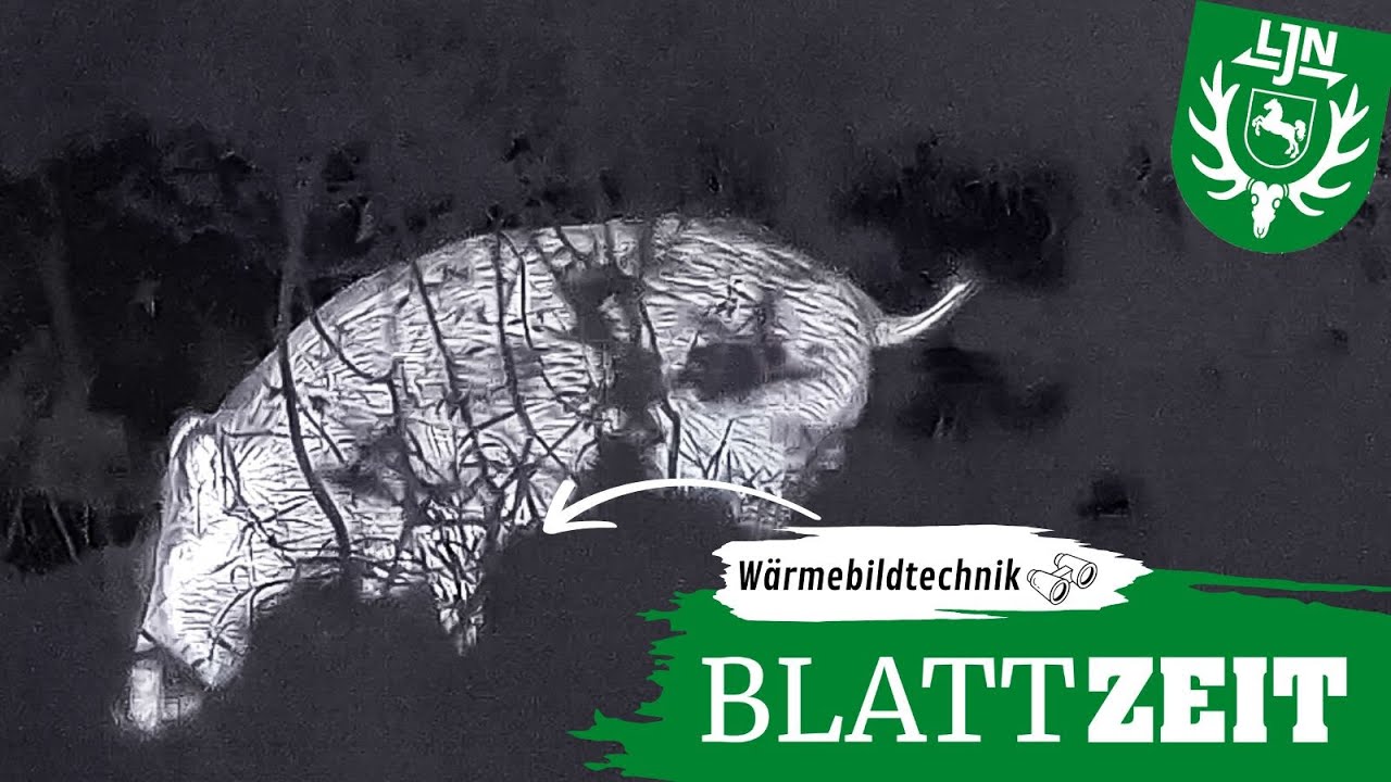 Sauen bei Nacht – Premium-Wärmebild-Vorsatzgerät von HikMicro