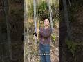 #Men'sToys #CraftsAndOrnaments #OutdoorGear #FulfillYourWish