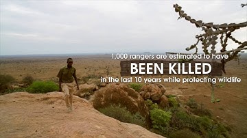 The illegal wildlife trade