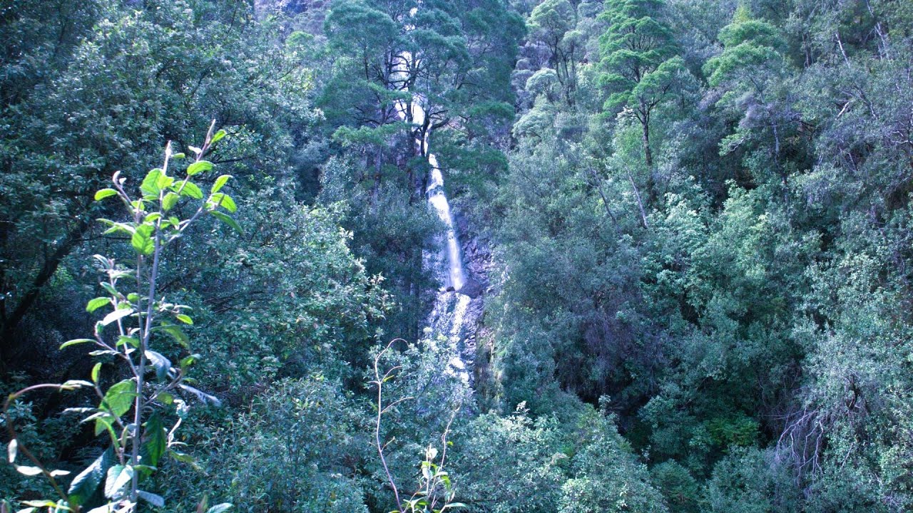 Exploring Australia | Day 33 | Tasmania | Montezuma Falls | Henty Dunes | Ocean Beach Lookout