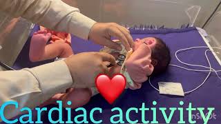 Newborn Examination #02 screenshot 3